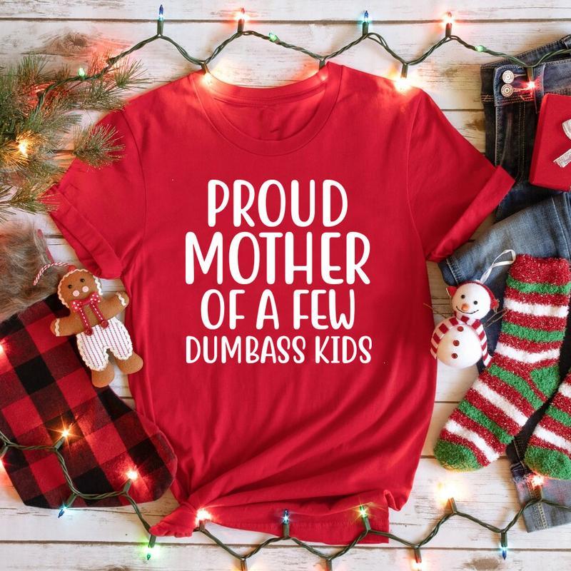 Proud Mother Of A Few Dumbass Kids T-Shirt / Sweatshirt / Hoodie